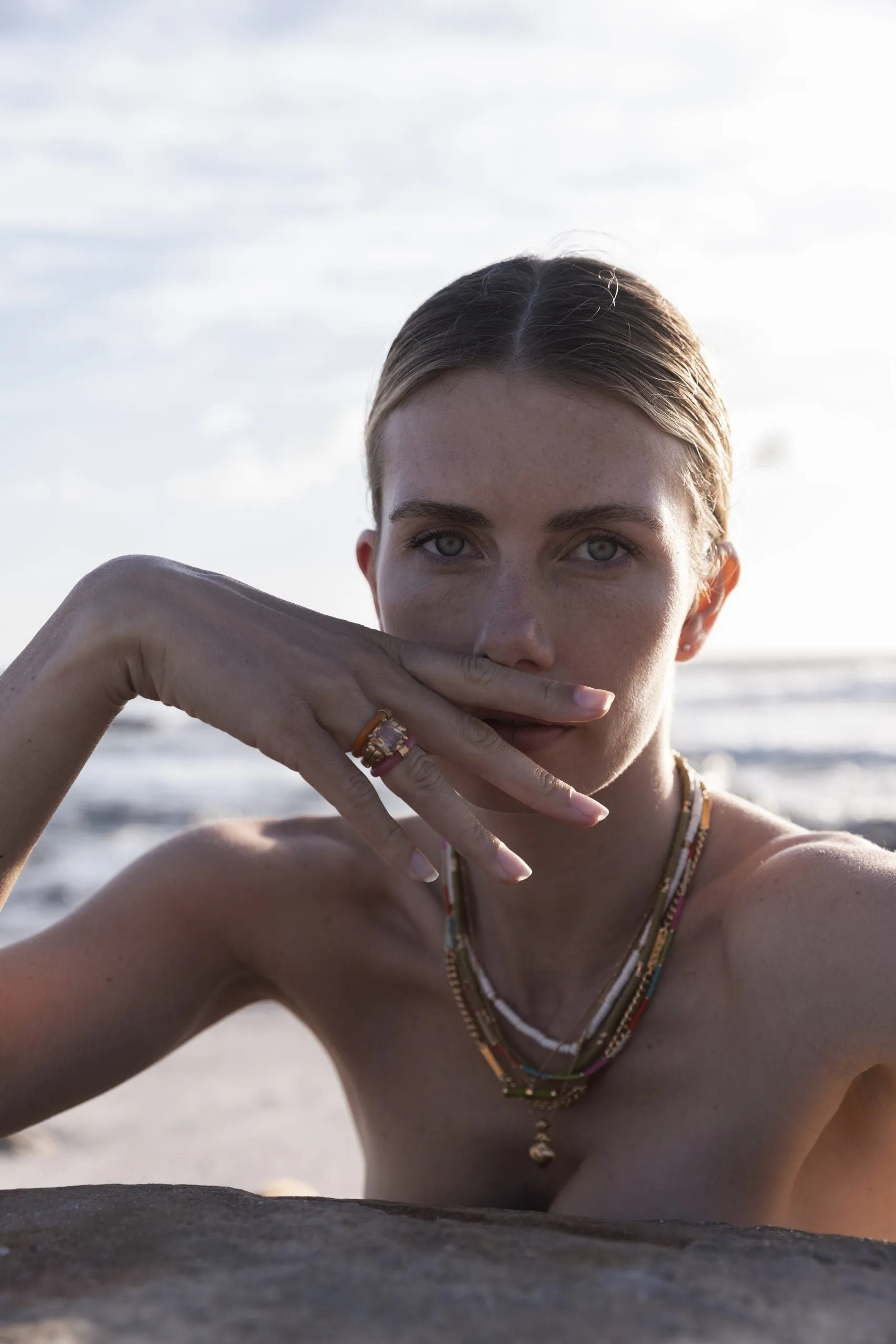Skylar rings