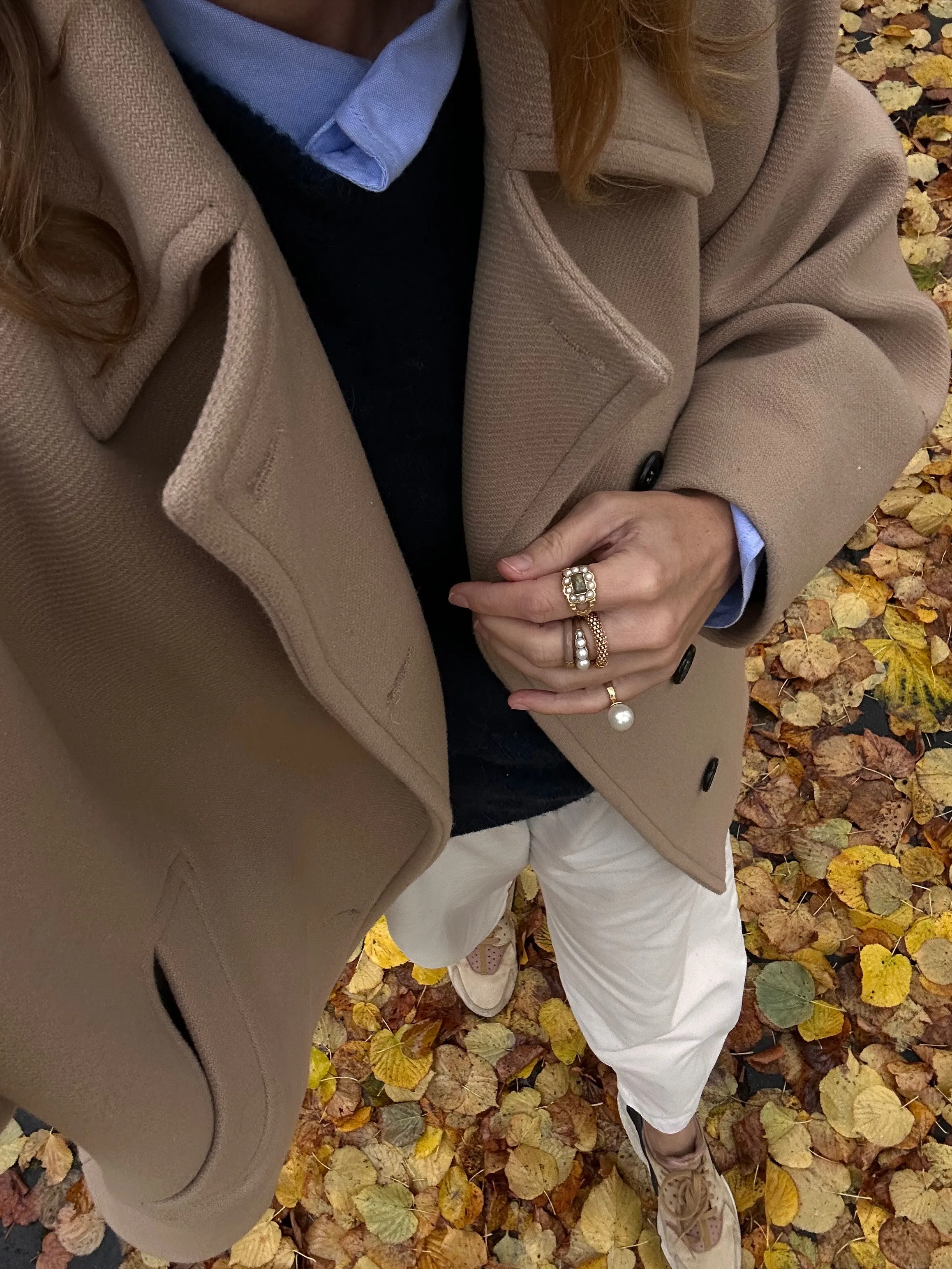 Skylar rings