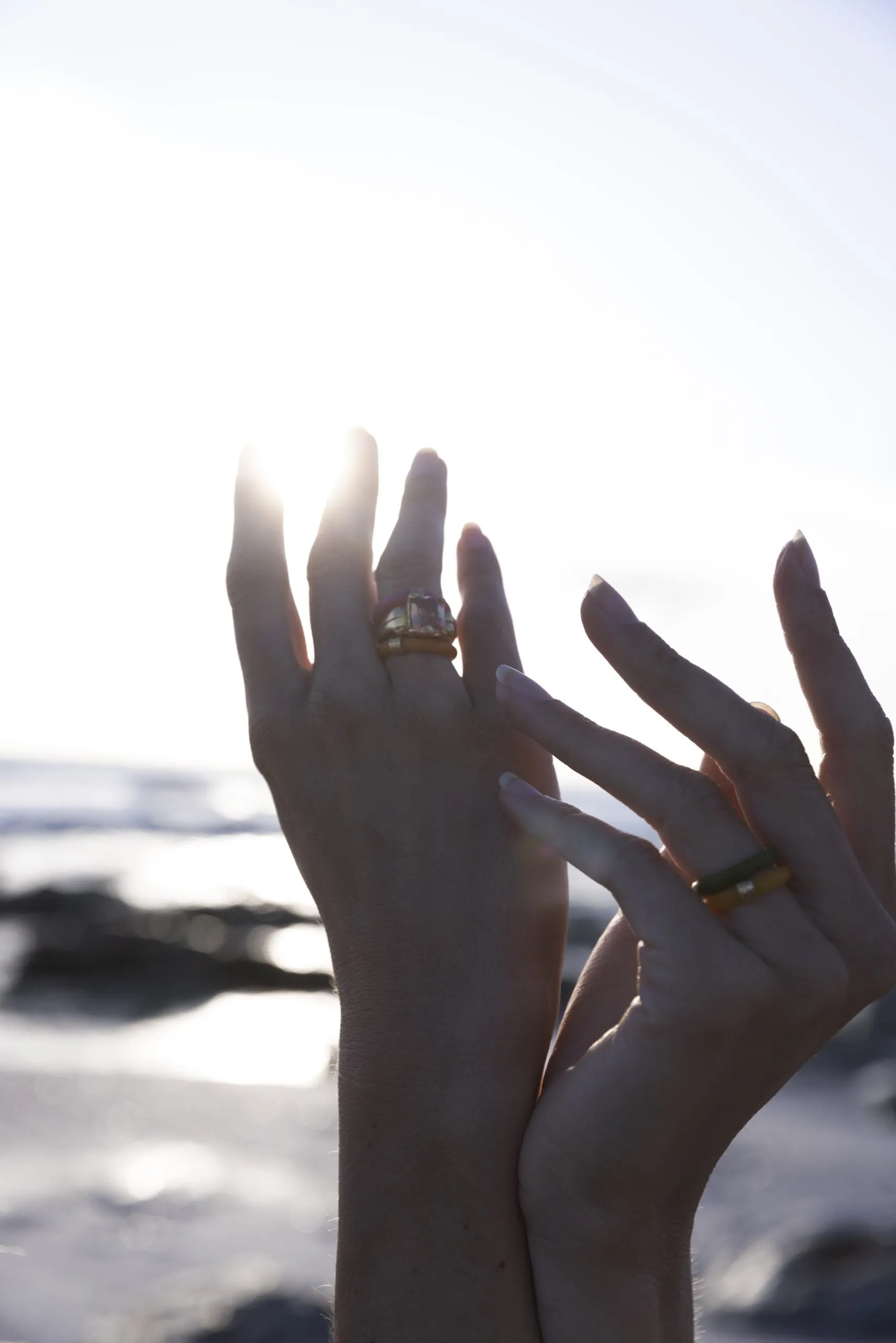 Skylar rings