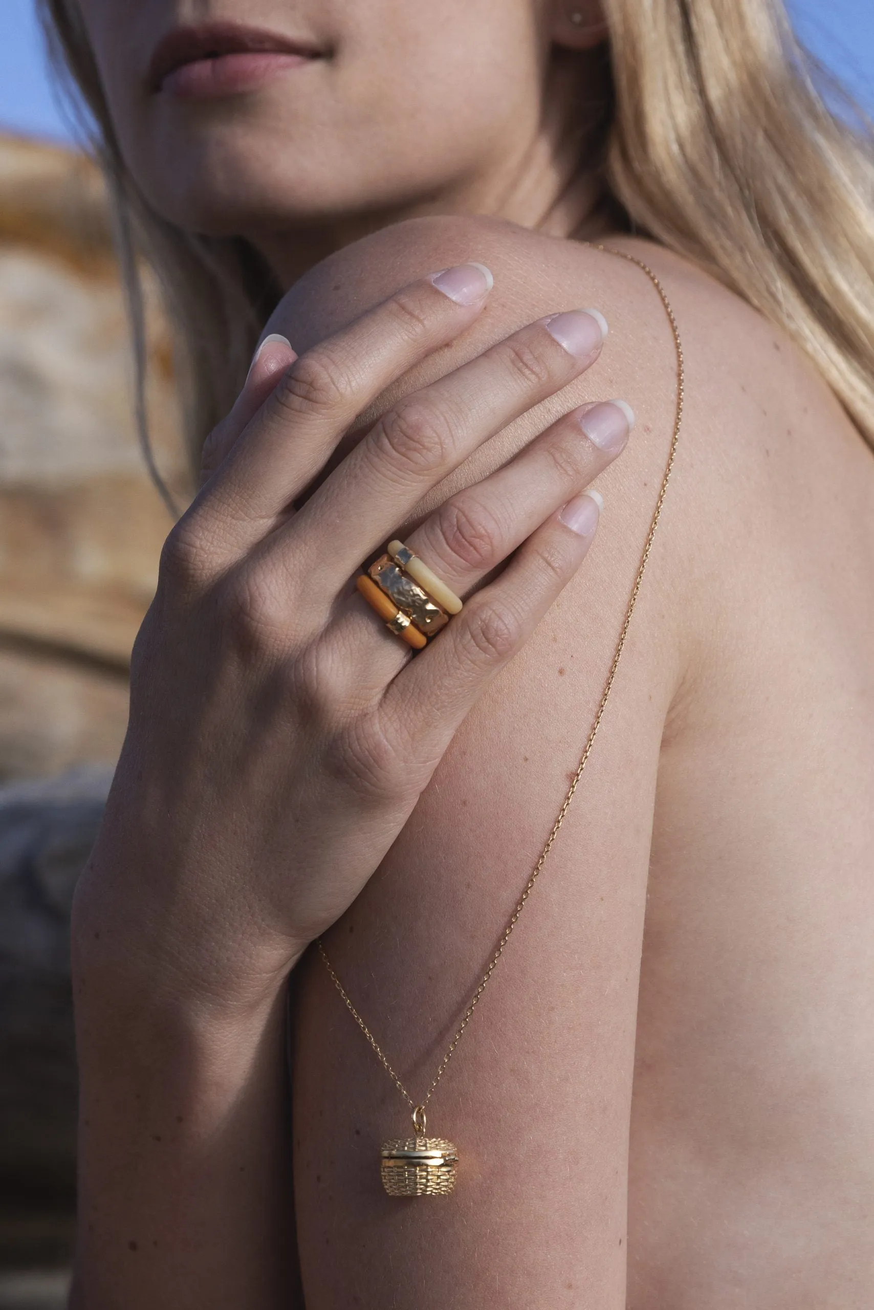 Skylar rings